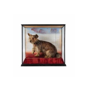 Taxidermy terrier dog.