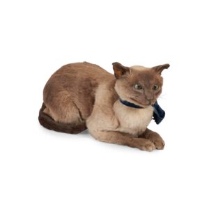 taxidermy of a cat laying down