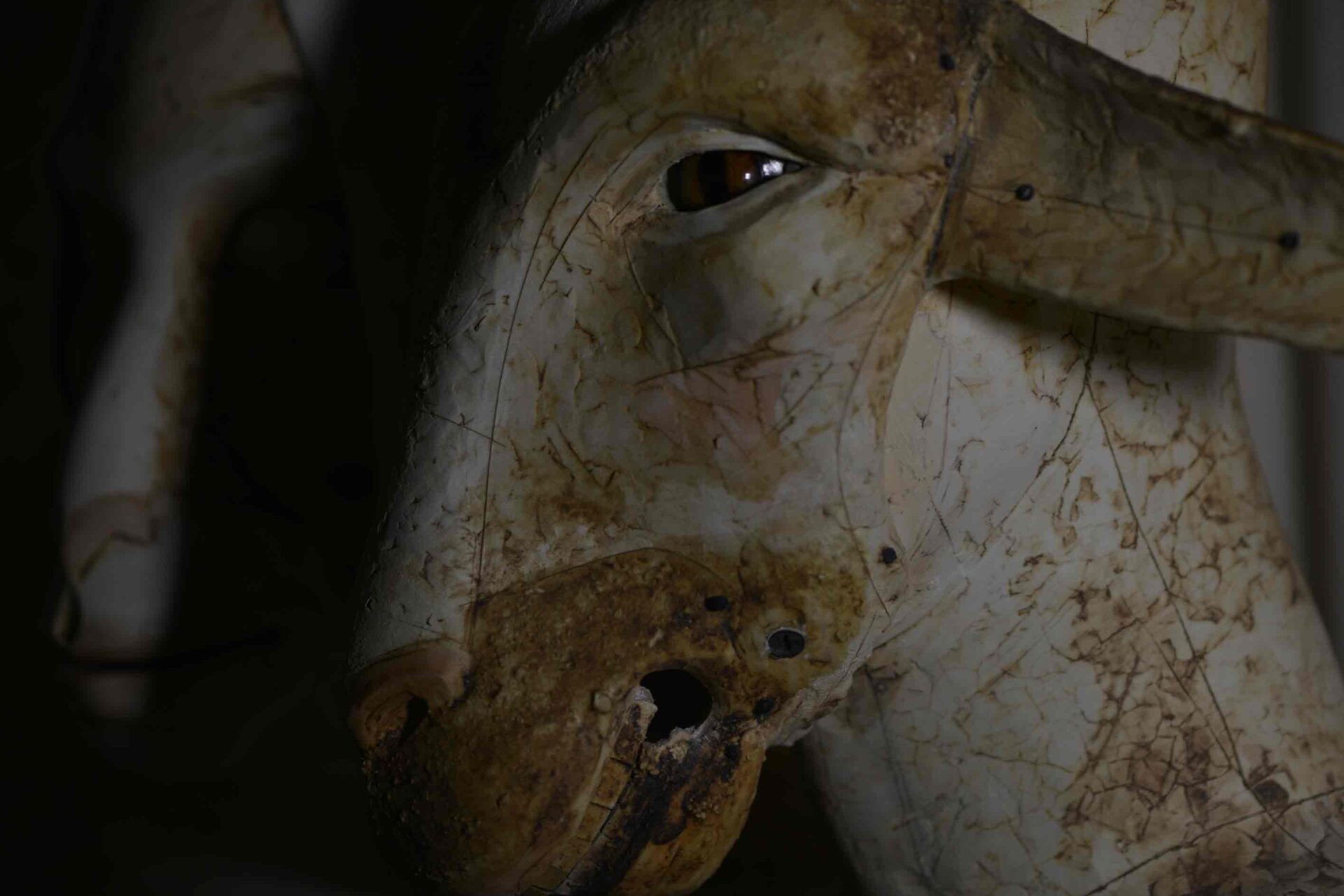 Sculpture from Candice B Groot's Collection - side-view of an animal head